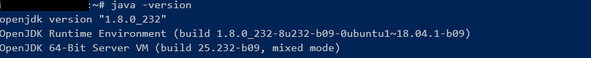 Ubuntu java version
